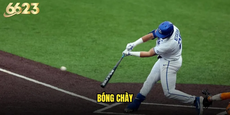 bóng chày