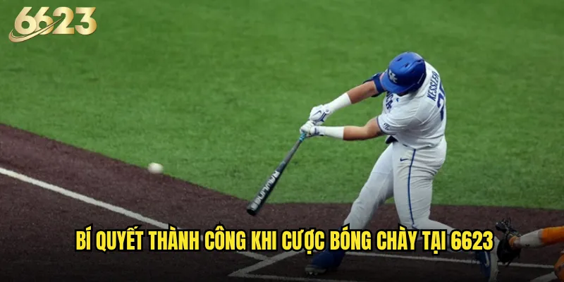 Bóng chày 6623 có mang lại trải nghiệm cược độc đáo cho người Việt? 3 Bí quyết thành công khi cược bóng chày tại 6623