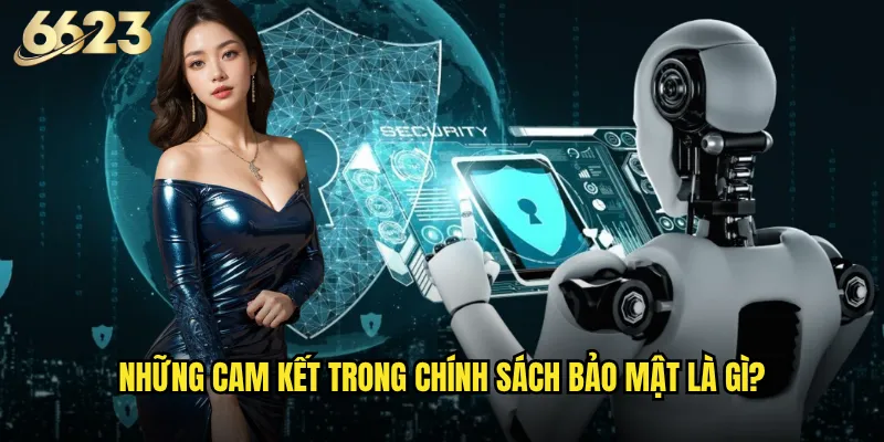Chính sách bảo mật 6623 có thực sự an toàn như quảng cáo? 2 Những cam kết trong chính sách bảo mật là gì?