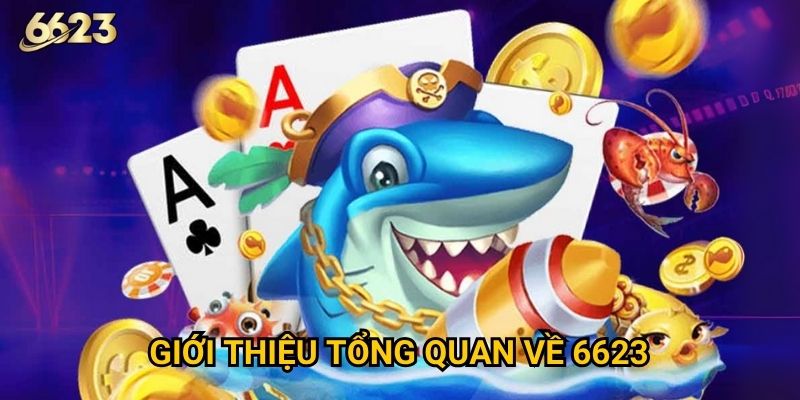 Trang chủ 26 Giới thiệu tổng quan về 6623